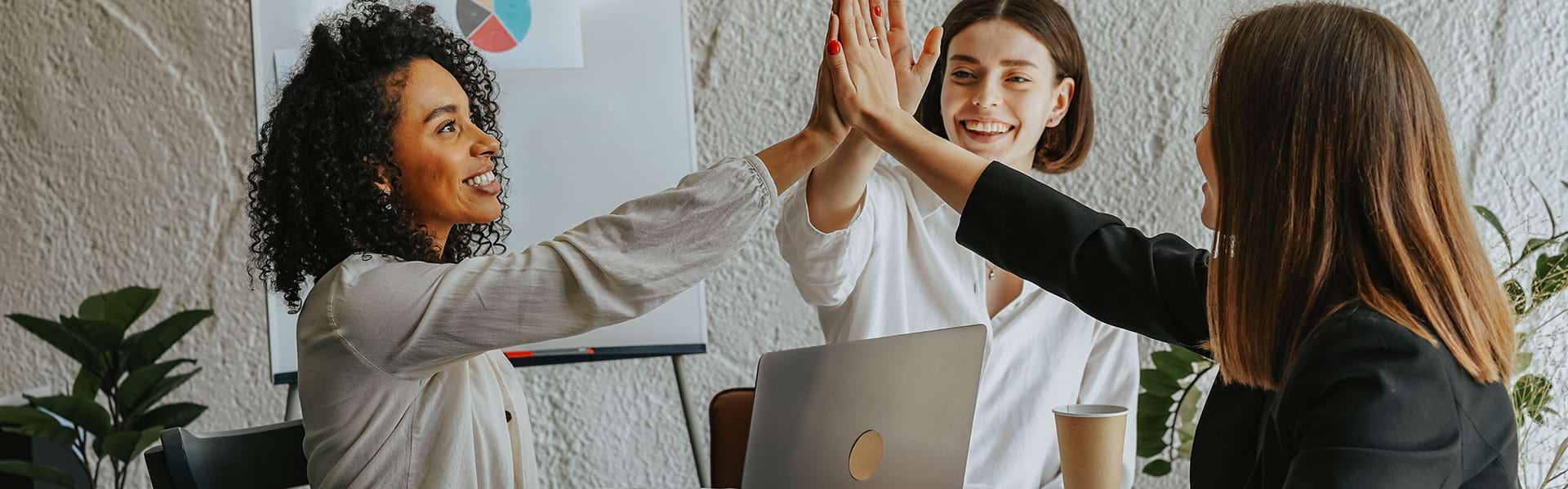 Our team Capstone Hill Search